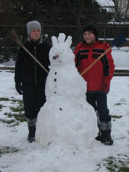 Amis d'hiver